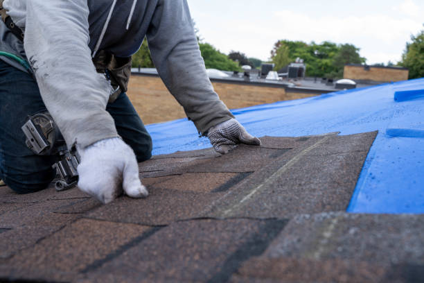 Best Commercial Roofing Services  in Collinsville, MS