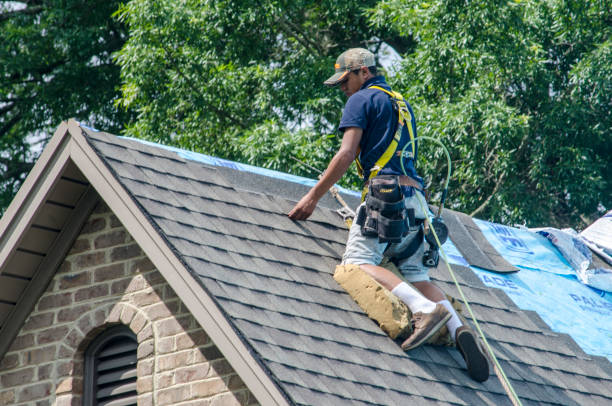 Best Roof Repair Services  in Collinsville, MS